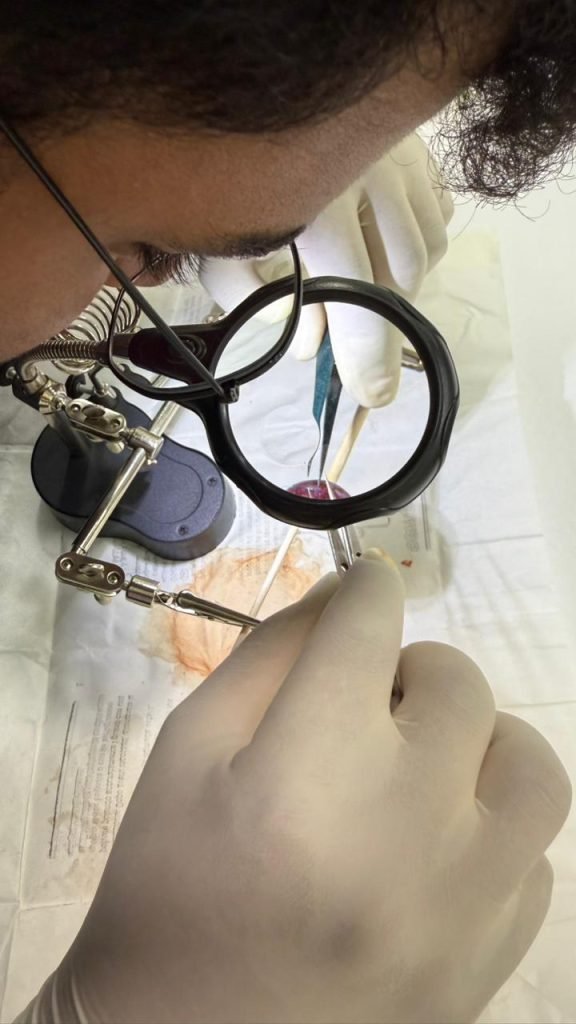 Hands-on clinical training using magnification