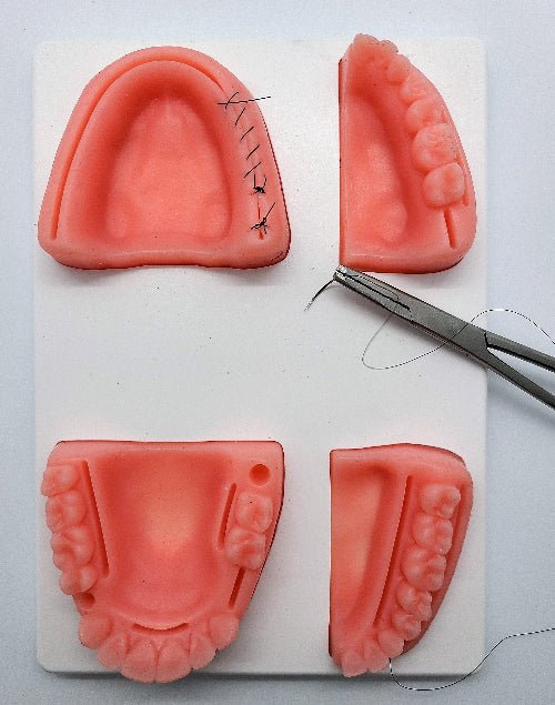 Dental suturing models and instruments