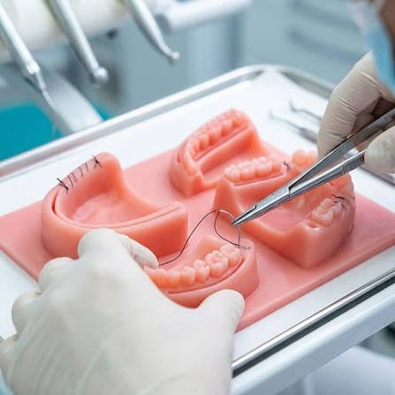 Gloved hands practicing suture placement on a model