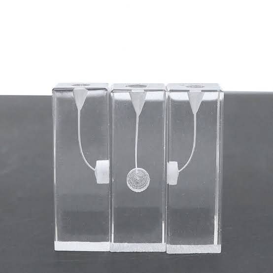 Transparent endodontic training blocks showing canal shapes
