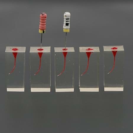 Root canal training blocks with endodontic files