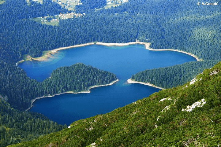 Black Lake surrounded by forest and mountains
