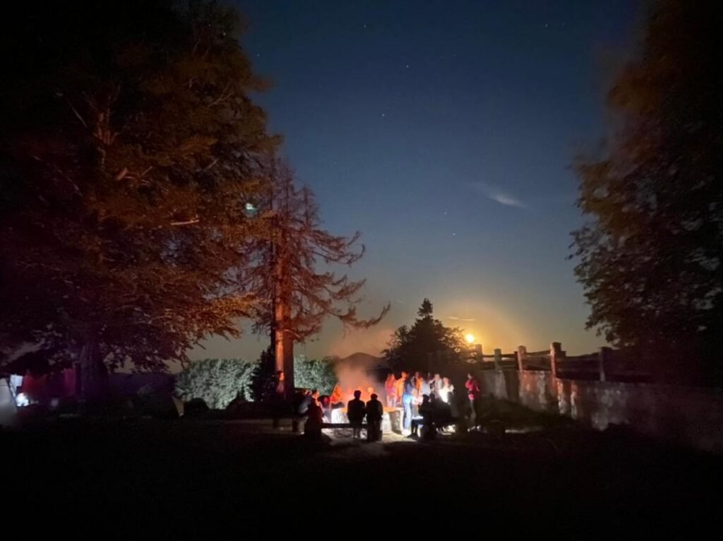 Evening gathering outdoors among trees