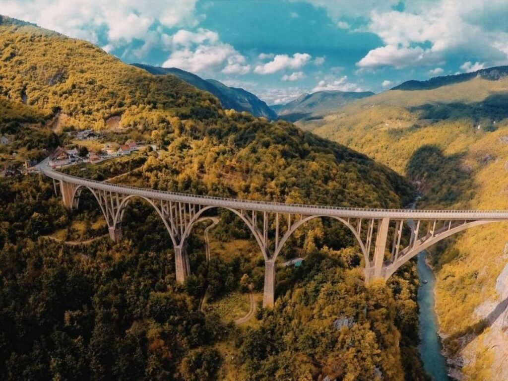 Tara Bridge spanning a forested canyon